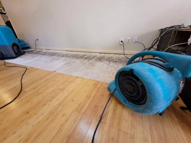 Professional Ceiling Water Damage Repair technician working in Breezy Point, MN